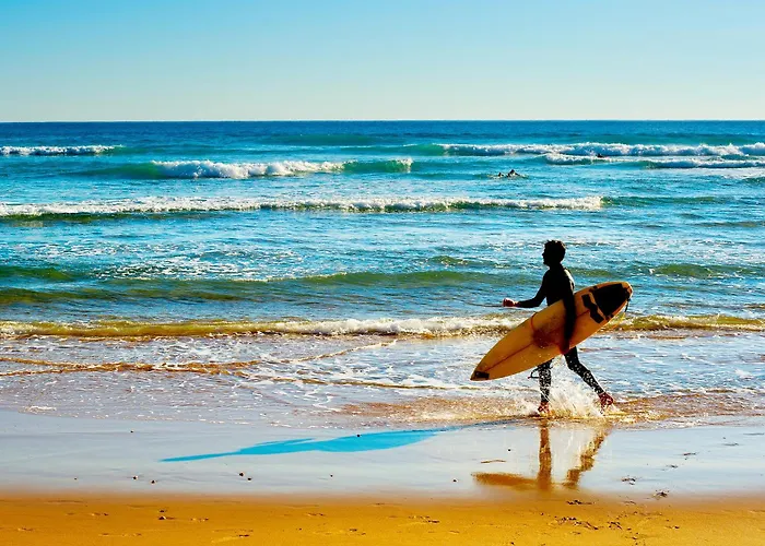 Surf