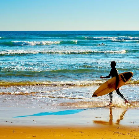 Surf